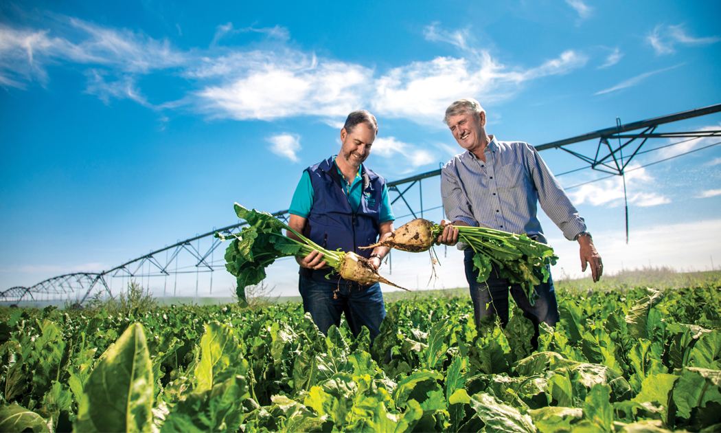 farmers at work